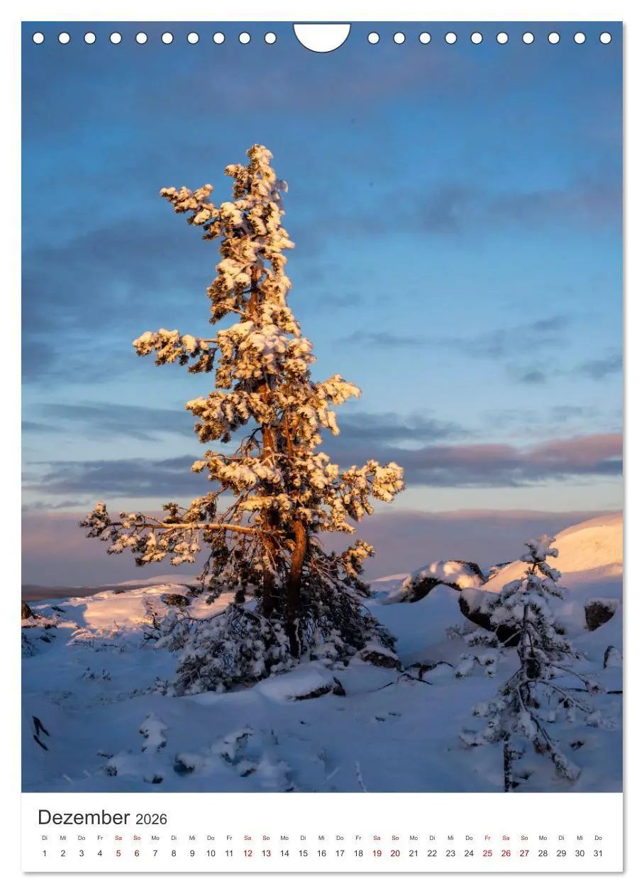 Bild: 9783516331998 | Winter in Lappland - Bezaubernde Schönheit (Wandkalender 2026 DIN...