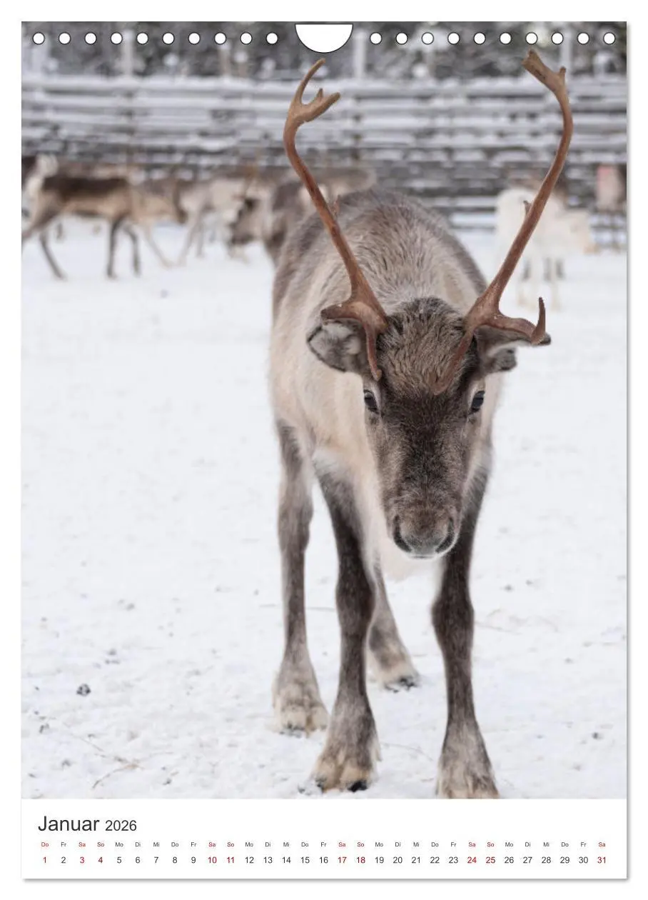 Bild: 9783516331998 | Winter in Lappland - Bezaubernde Schönheit (Wandkalender 2026 DIN...