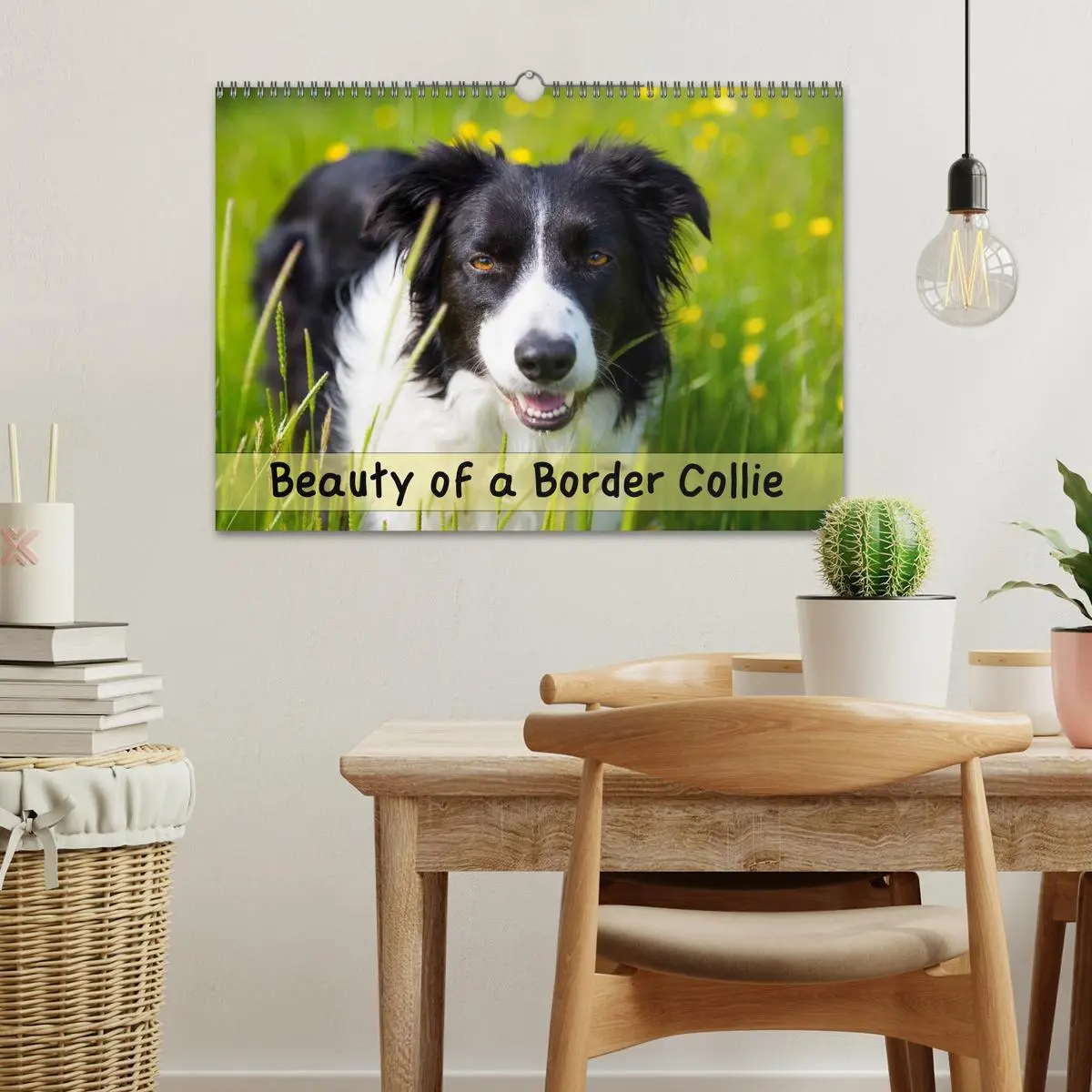 Bild: 9783516571998 | Beauty of a Border Collie (Wall Calendar 2026 DIN A3 landscape),...