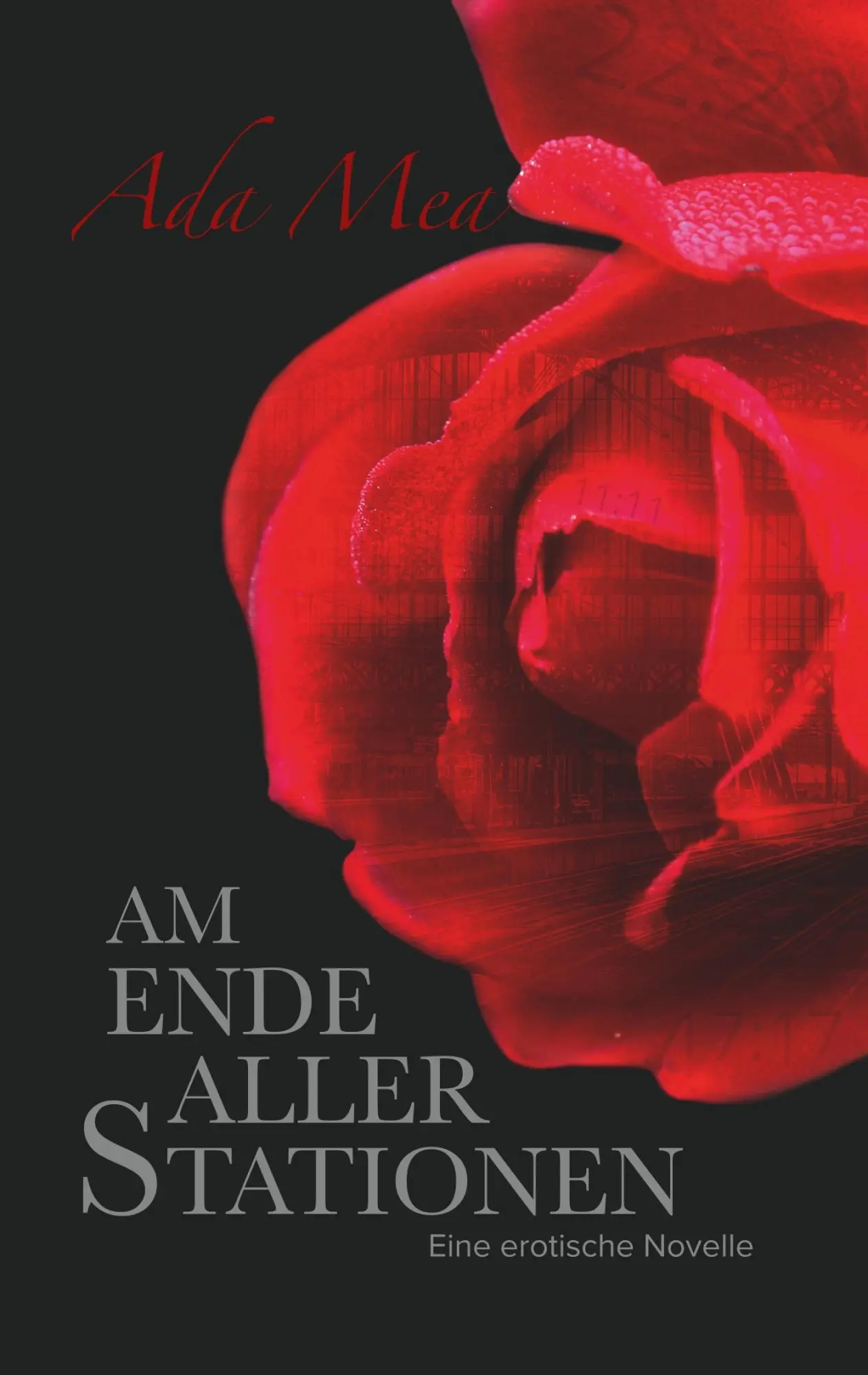 Cover: 9783746011998 | Am Ende aller Stationen | Ada Mea | Taschenbuch | Paperback | 180 S.