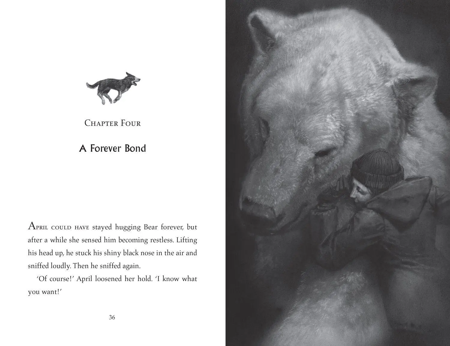 Bild: 9780008582098 | The Lone Husky | Hannah Gold | Buch | 336 S. | Englisch | 2025