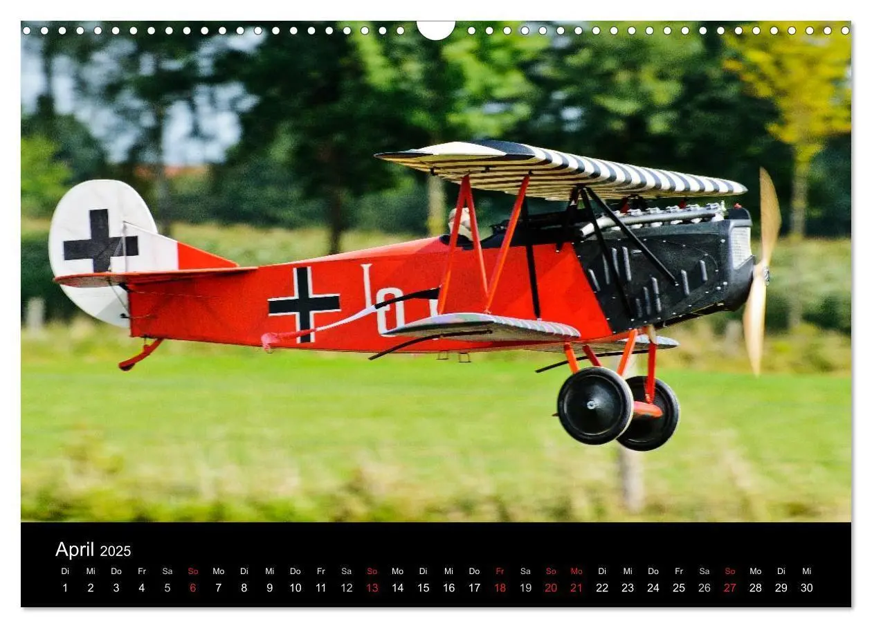 Bild: 9783435732098 | Modellflieger (Wandkalender 2025 DIN A3 quer), CALVENDO Monatskalender