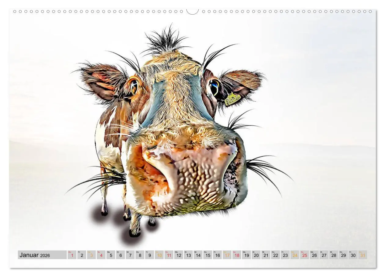 Bild: 9783457752098 | Rindviecher unglaublich (Wandkalender 2026 DIN A2 quer), CALVENDO...