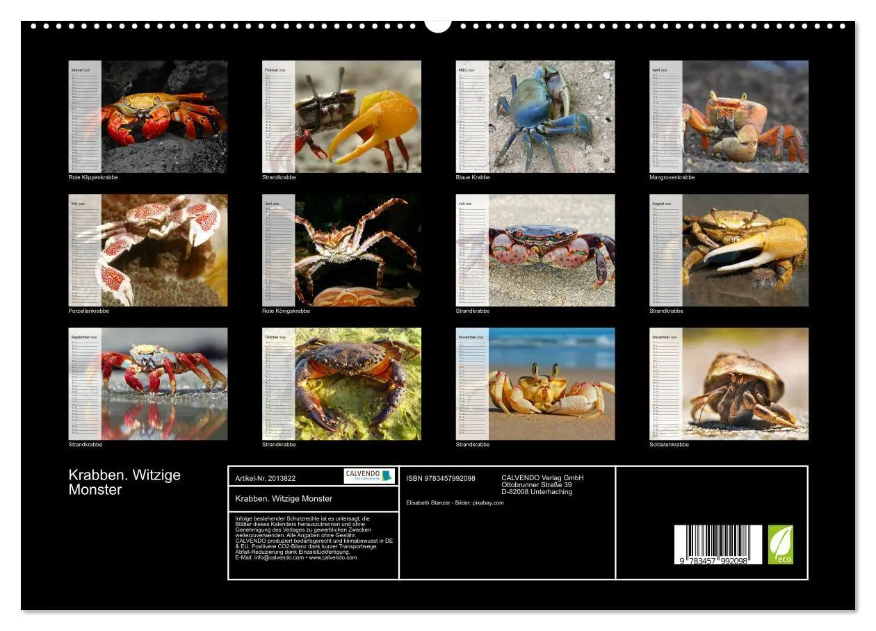 Bild: 9783457992098 | Krabben. Witzige Monster (hochwertiger Premium Wandkalender 2026...