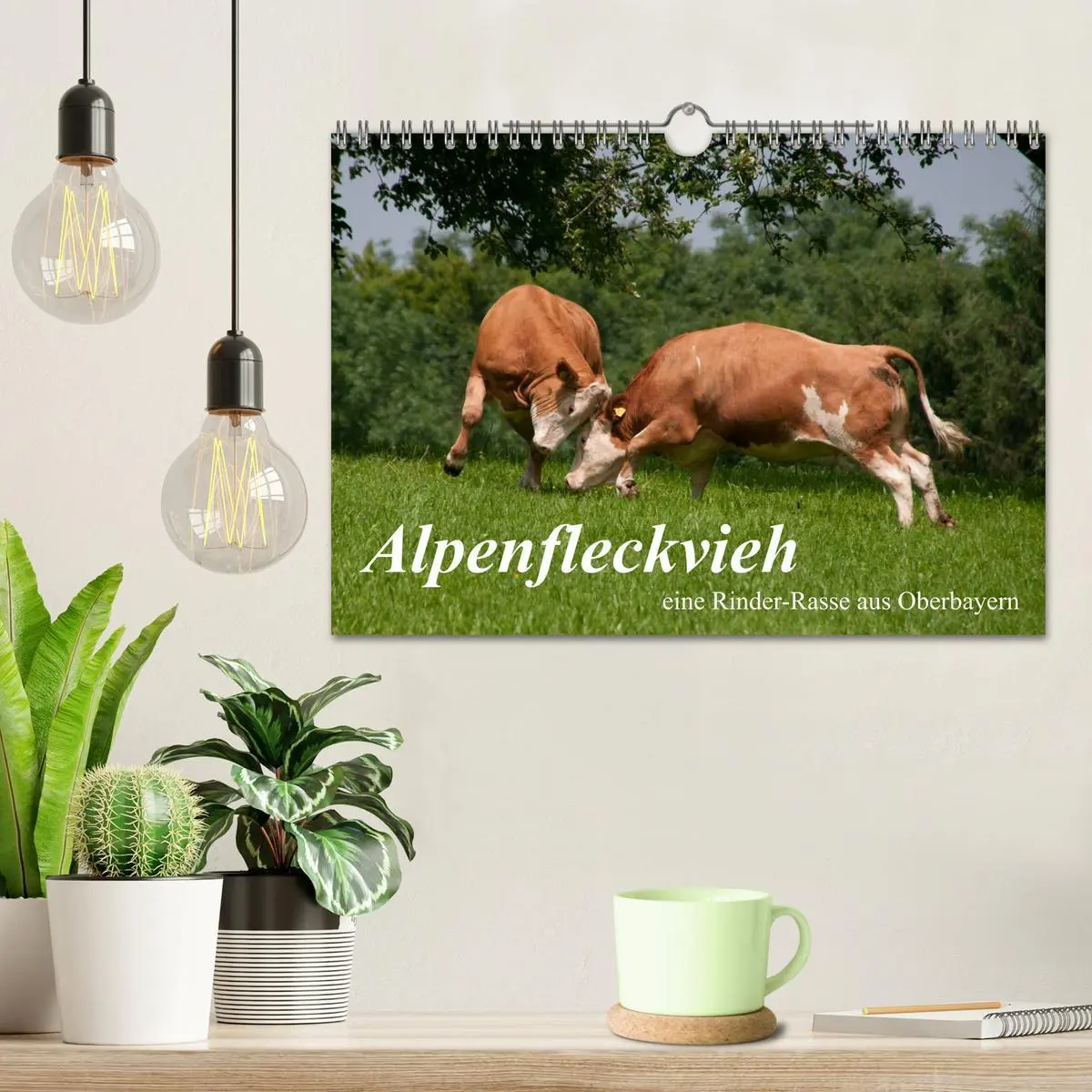 Bild: 9783516222098 | Alpenfleckvieh (Wandkalender 2026 DIN A4 quer), CALVENDO...
