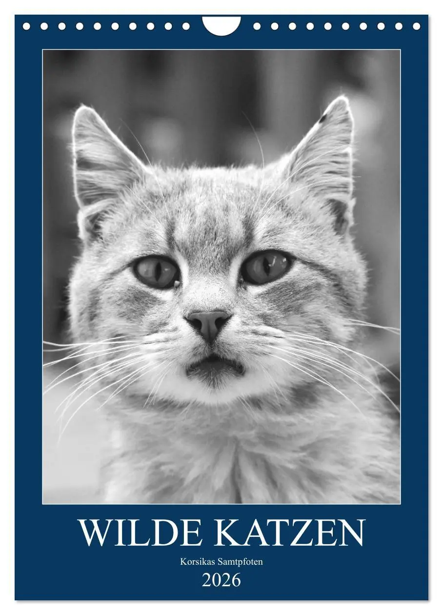 Cover: 9783516392098 | Wilde Katzen - Korsikas Samtpfoten (Wandkalender 2026 DIN A4 hoch),...