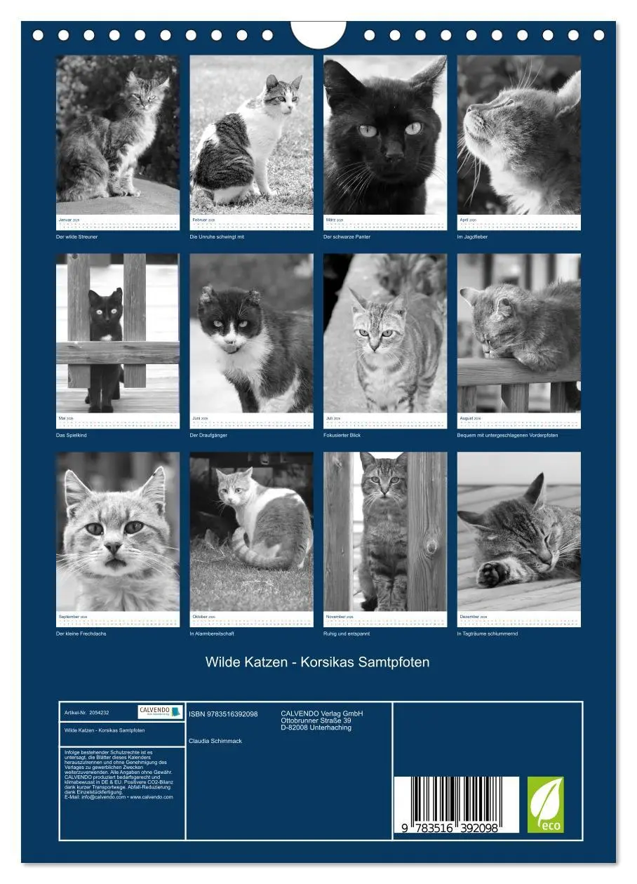 Bild: 9783516392098 | Wilde Katzen - Korsikas Samtpfoten (Wandkalender 2026 DIN A4 hoch),...
