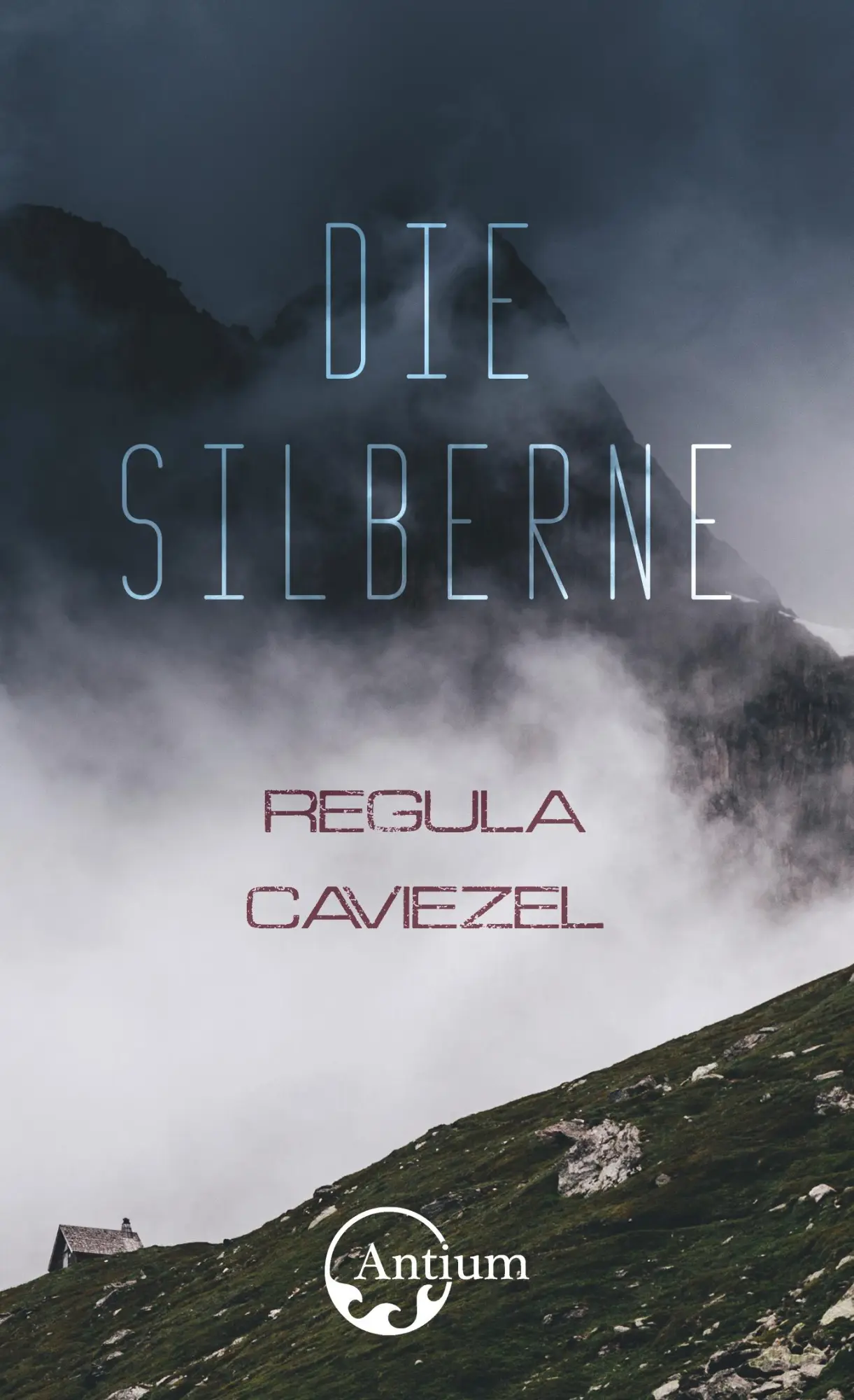 Cover: 9783907132098 | Die Silberne | Regula Caviezel | Taschenbuch | Kartoniert / Broschiert