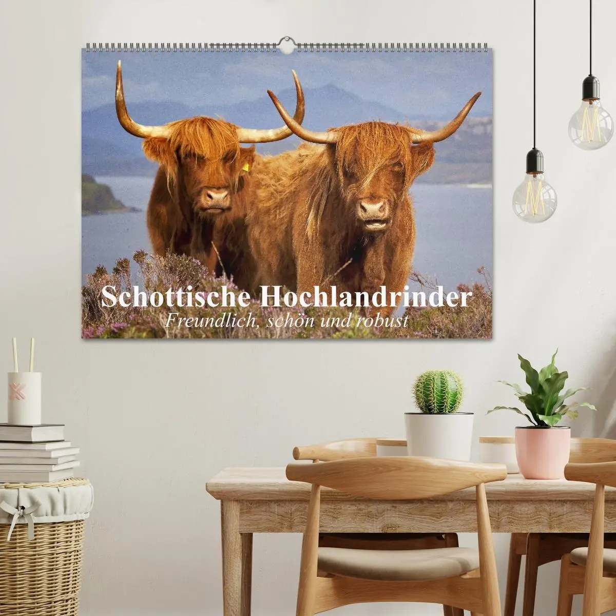 Bild: 9783457982198 | Schottische Hochlandrinder. Freundlich, schön und robust...