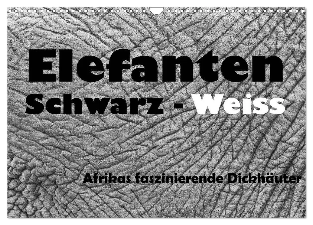 Cover: 9783516142198 | Elefanten Schwarz - Weiss (Wandkalender 2026 DIN A3 quer), CALVENDO...