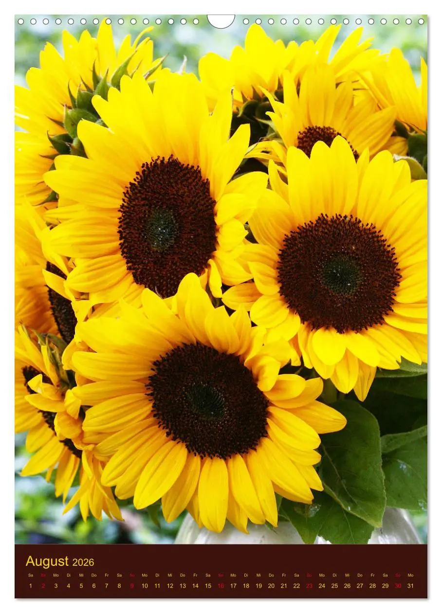 Bild: 9783516382198 | Sonnenblumen - Strahlende Blüten (Wandkalender 2026 DIN A3 hoch),...