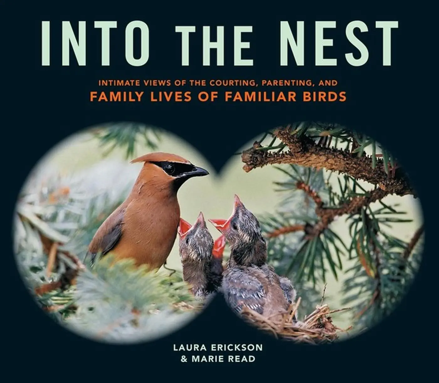 Cover: 9781612122298 | Into the Nest | Laura Erickson (u. a.) | Taschenbuch | Englisch | 2015