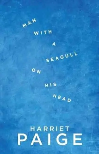 Cover: 9781910422298 | Man with a Seagull on His Head | Harriet Paige | Taschenbuch | 2017
