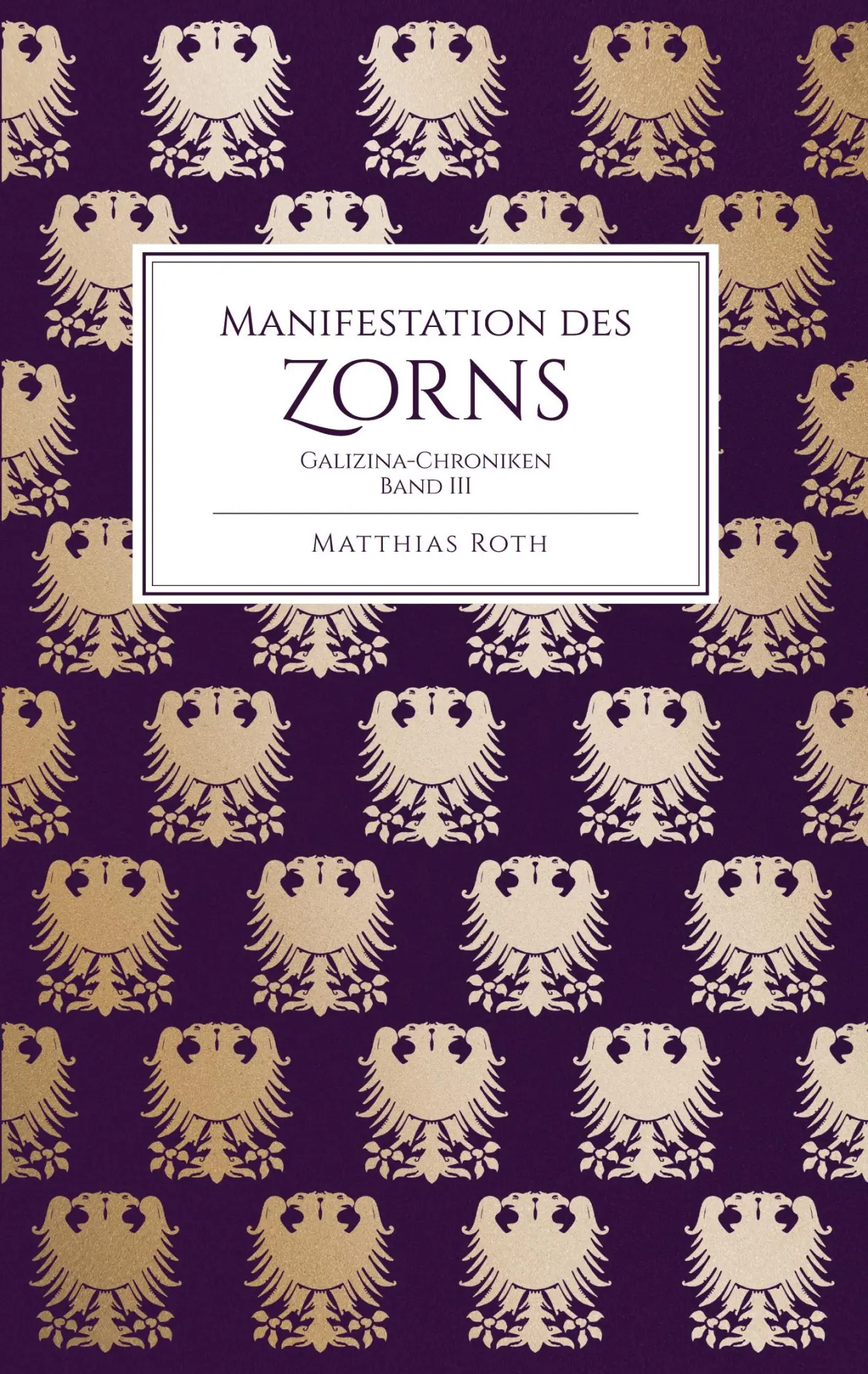 Cover: 9783695192298 | Manifestation des Zorns | Galizina-Chroniken Band 3 | Matthias Roth
