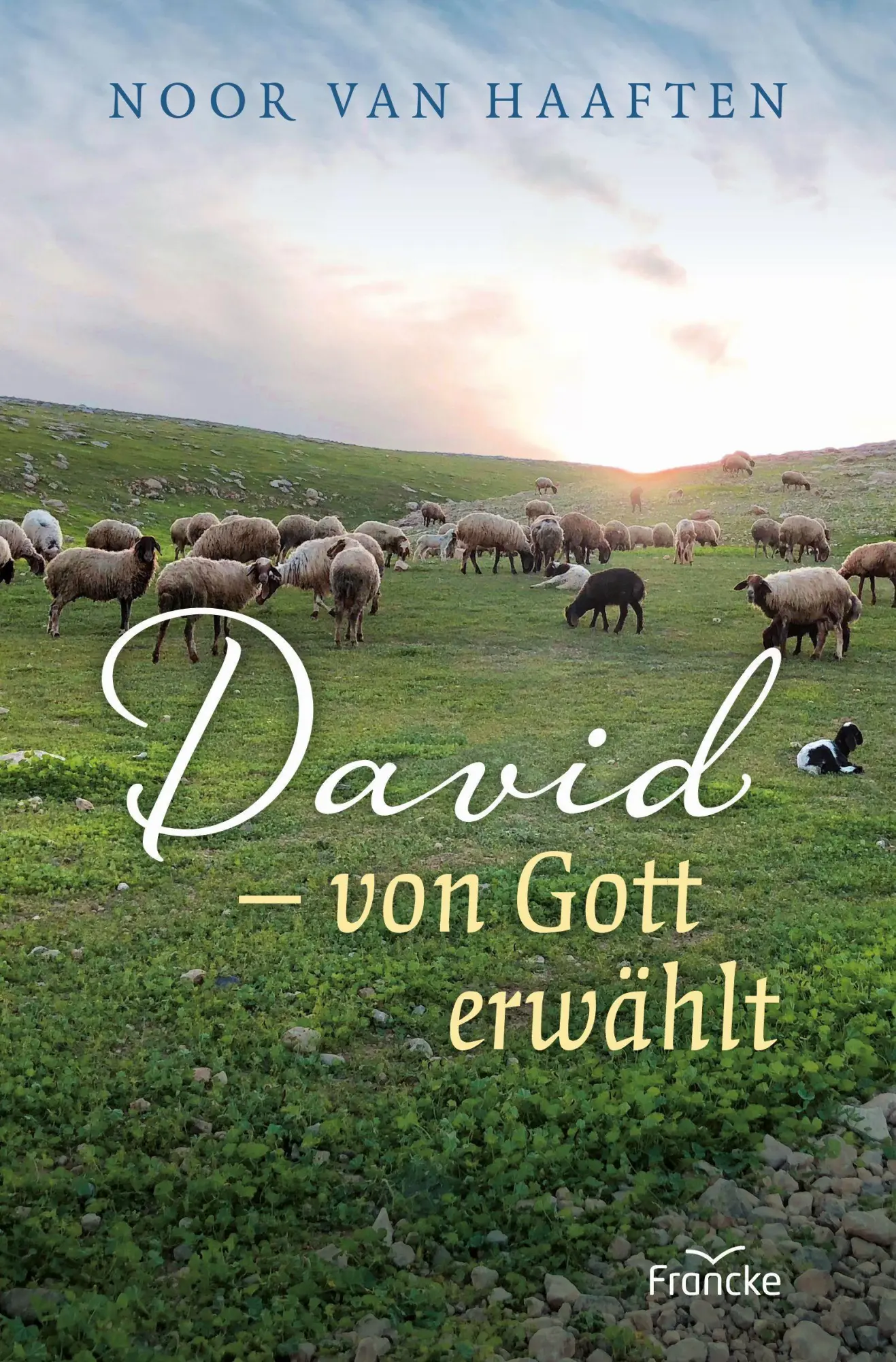 Cover: 9783963622298 | David - von Gott erwählt | Noor van Haaften | Taschenbuch | 248 S.
