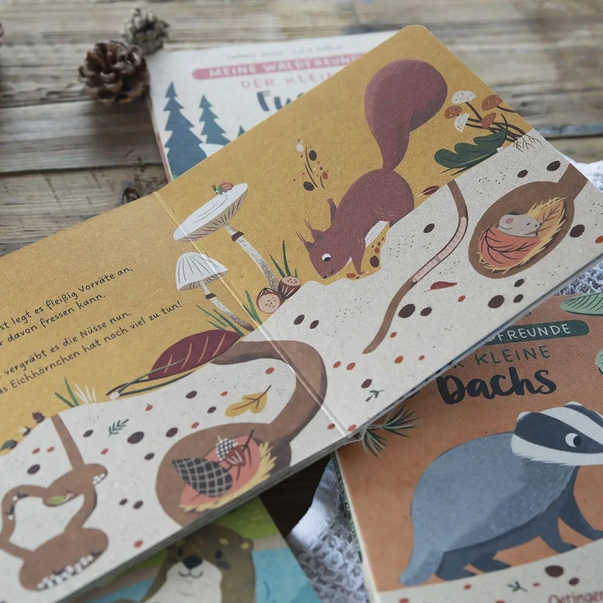 Bild: 9783751202398 | Meine Waldfreunde. Das kleine Eichhörnchen | Carla Häfner | Buch