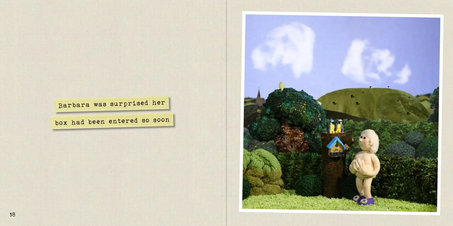 Bild: 9781911622598 | Going Wild in Woolly Bush | Sarah Simi | Buch | Gebunden | Englisch