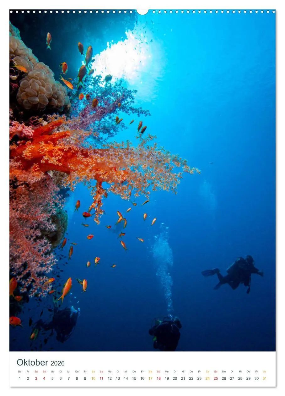 Bild: 9783516412598 | Unter Wasser daheim (Wandkalender 2026 DIN A2 hoch), CALVENDO...