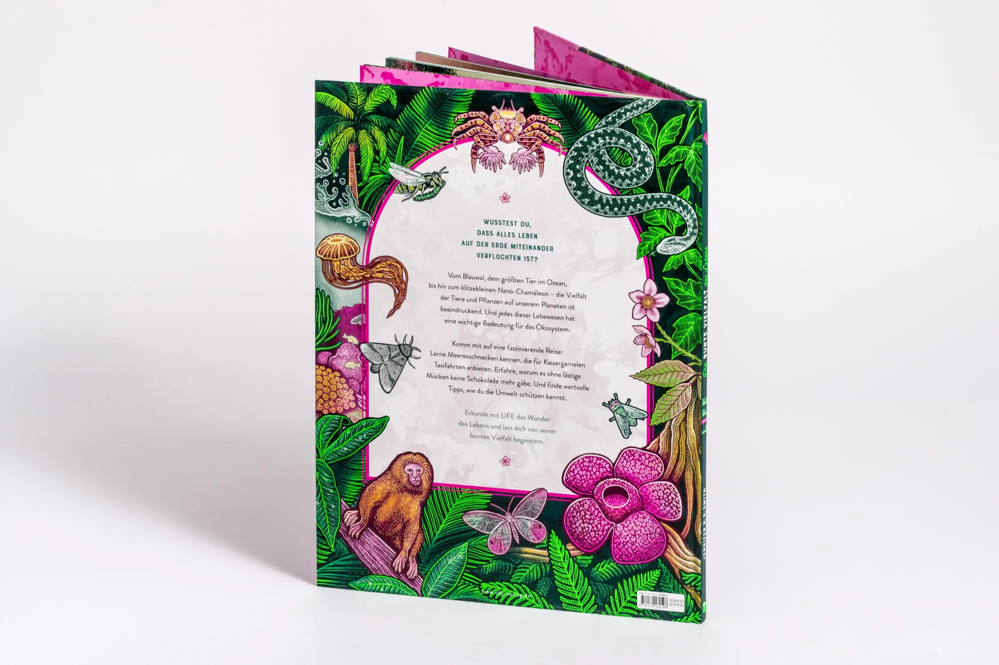Bild: 9783570182598 | LIFE - Die bunte Vielfalt des Lebens | Jennifer N. R. Smith | Buch