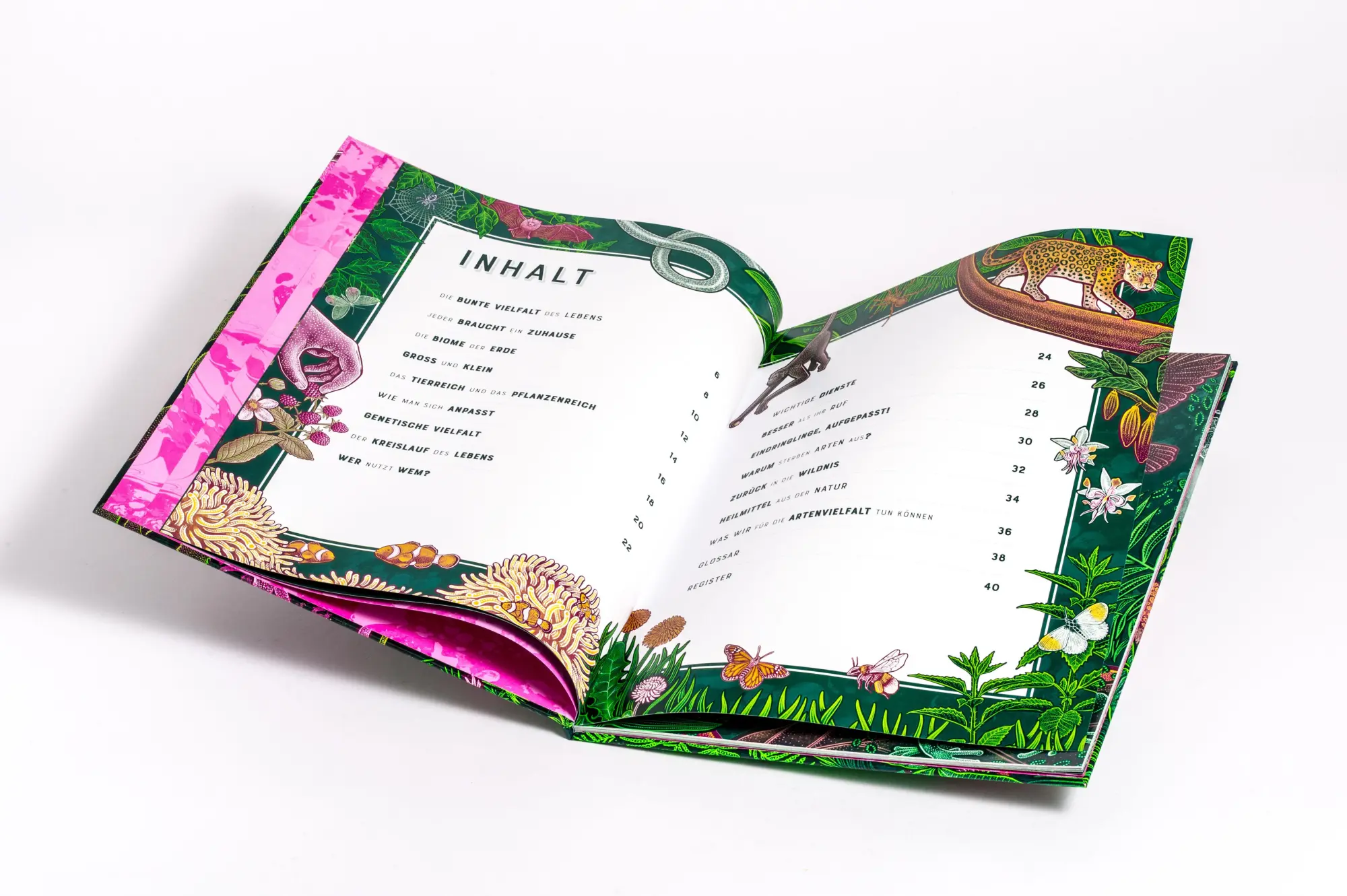 Bild: 9783570182598 | LIFE - Die bunte Vielfalt des Lebens | Jennifer N. R. Smith | Buch