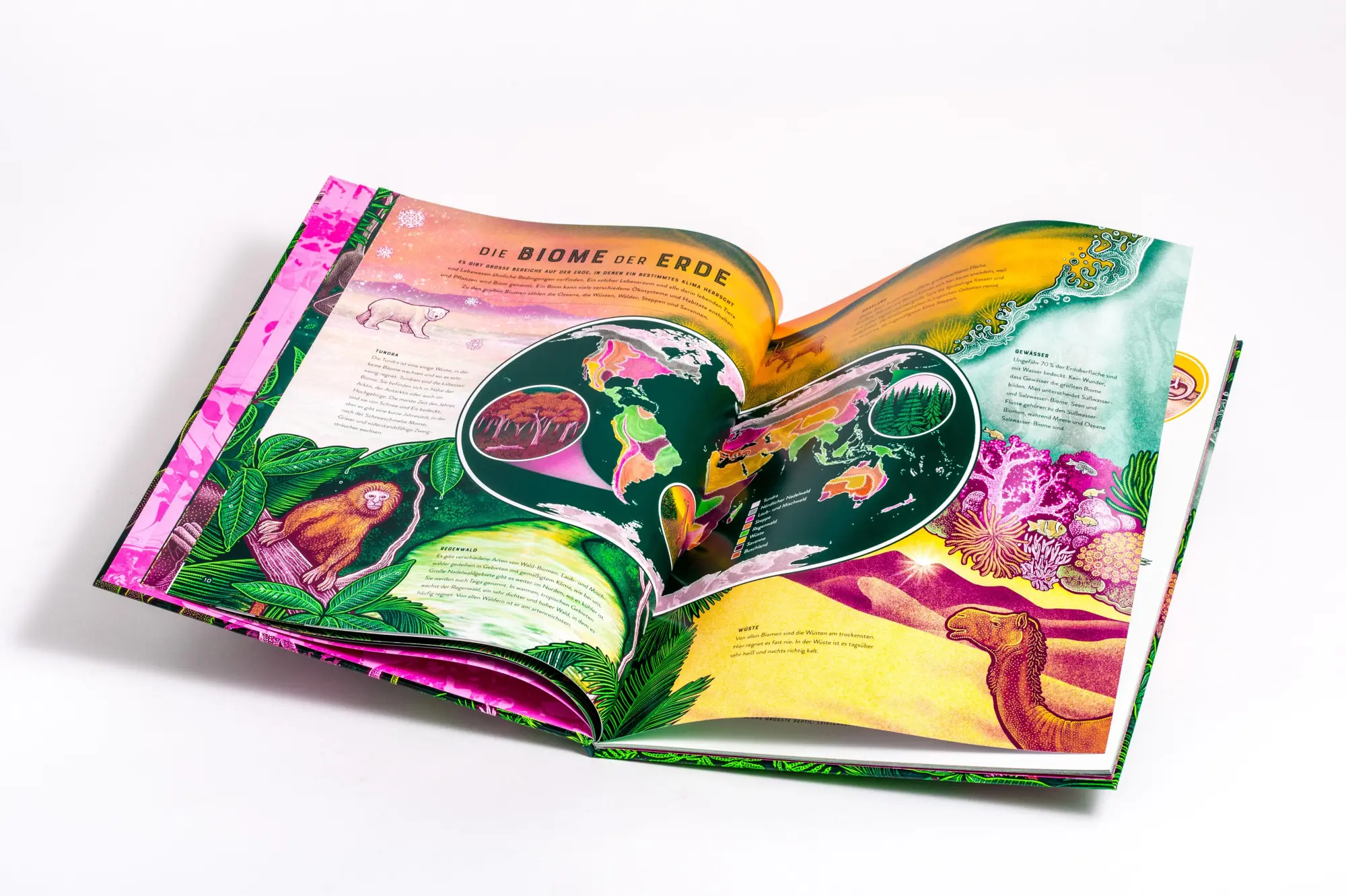 Bild: 9783570182598 | LIFE - Die bunte Vielfalt des Lebens | Jennifer N. R. Smith | Buch