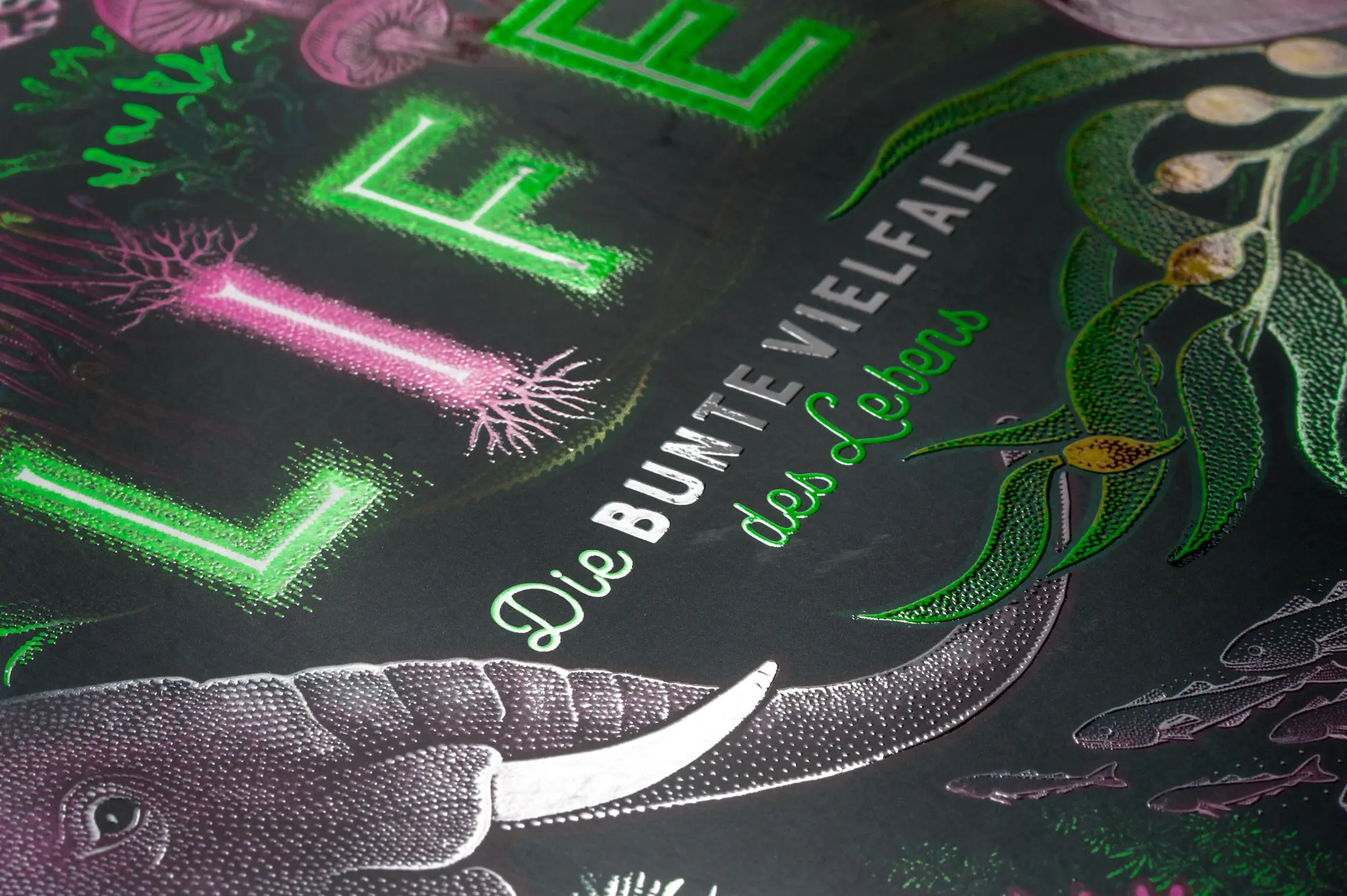Bild: 9783570182598 | LIFE - Die bunte Vielfalt des Lebens | Jennifer N. R. Smith | Buch