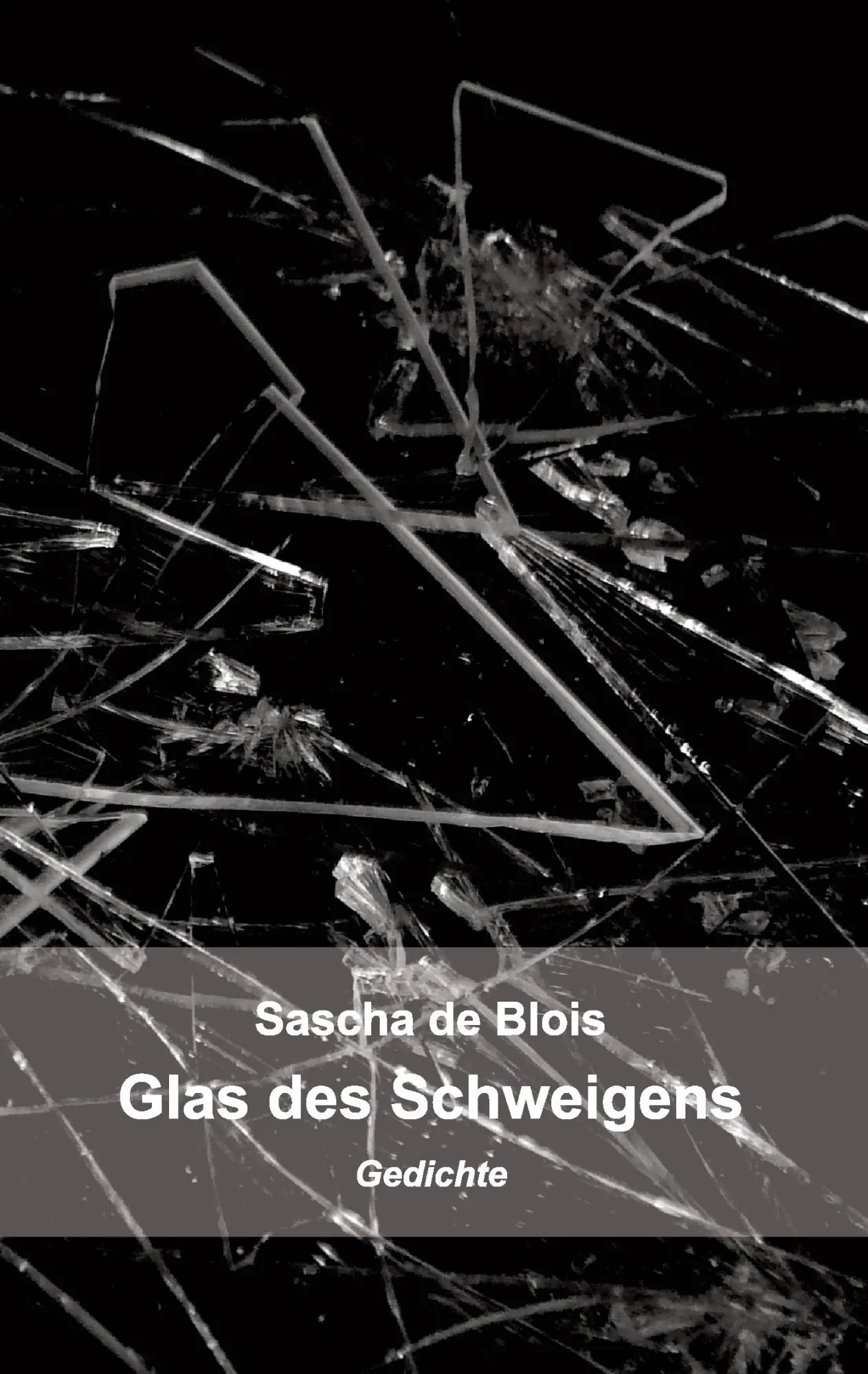 Cover: 9783752892598 | Europäischer Winter | Gedichte | Schneefeld | Taschenbuch | 84 S.