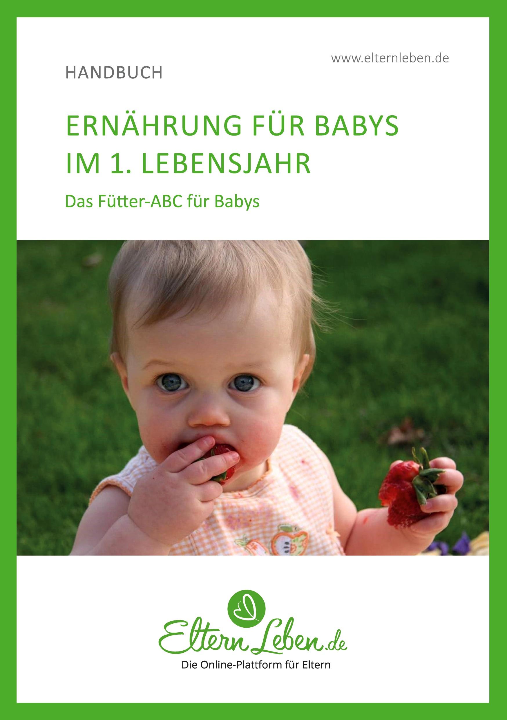 Cover: 9783347112698 | Ernährung für Babys im 1. Lebensjahr | Das Fütter-ABC für Babys | de