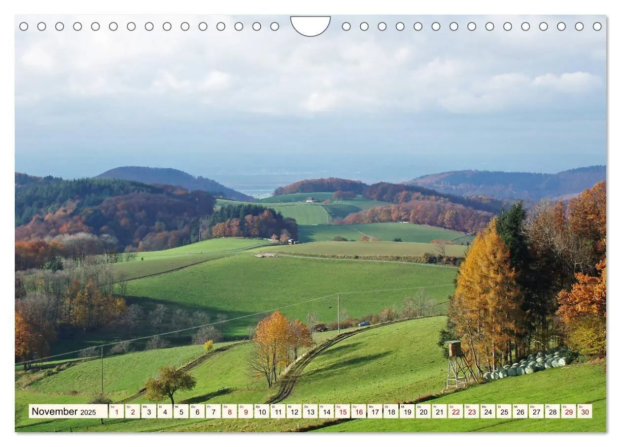 Bild: 9783435222698 | Viele Wege - ein Ziel Wandern im Odenwald (Wandkalender 2025 DIN A4...