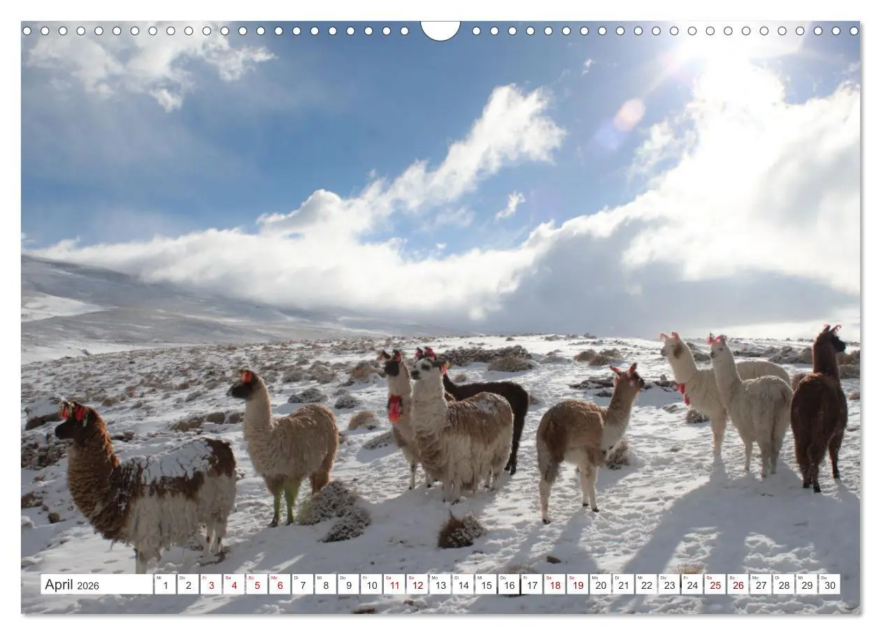 Bild: 9783457622698 | SÜDAMERIKA Eine Bilderreise durch Argentinien, Bolivien, Peru und...