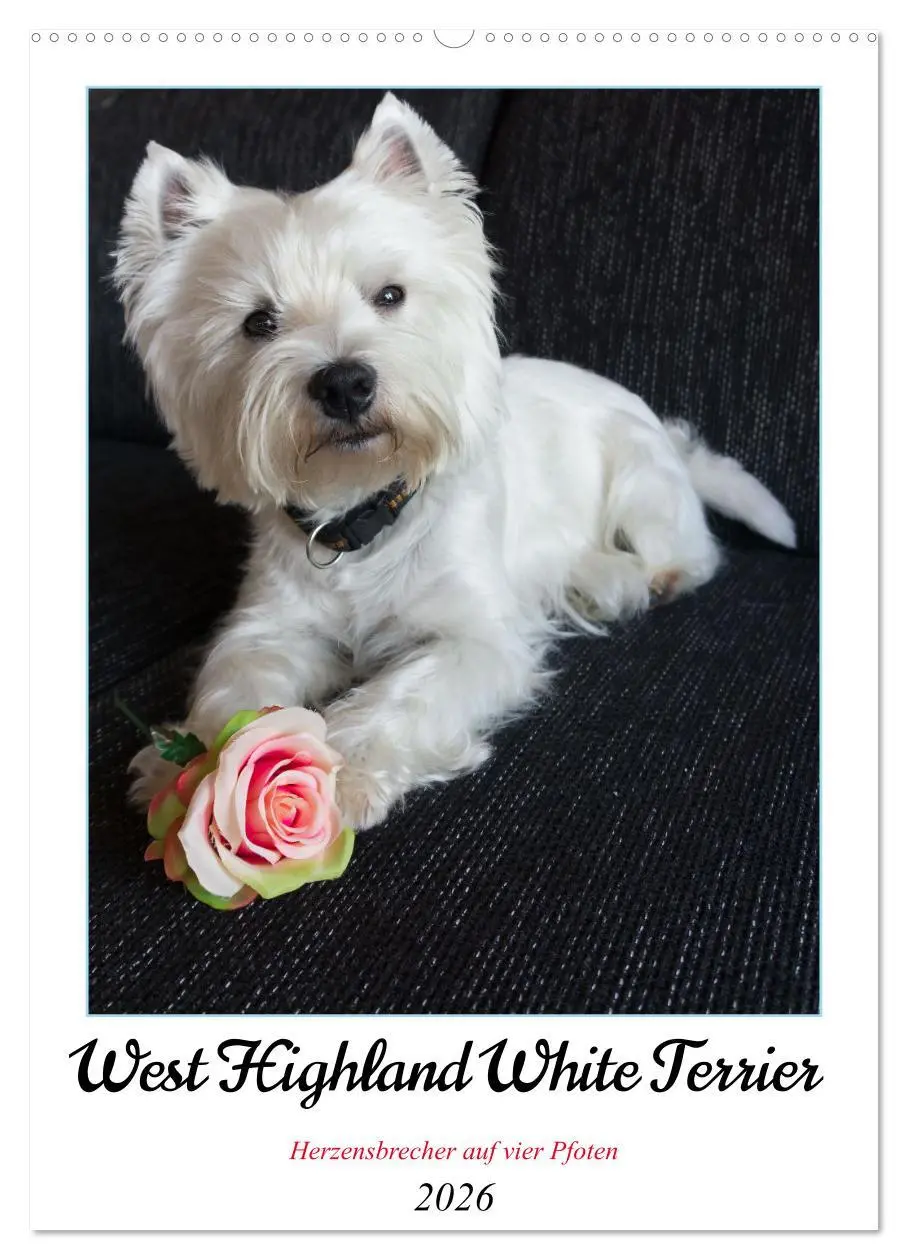 Cover: 9783516332698 | West Highland White Terrier - Herzensbrecher auf vier Pfoten...