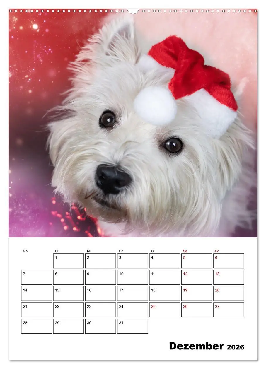 Bild: 9783516332698 | West Highland White Terrier - Herzensbrecher auf vier Pfoten...