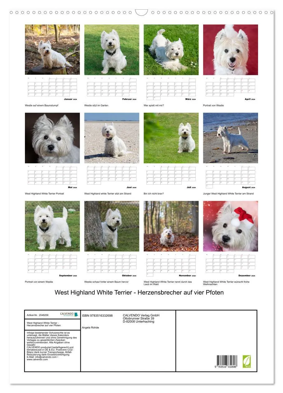 Bild: 9783516332698 | West Highland White Terrier - Herzensbrecher auf vier Pfoten...