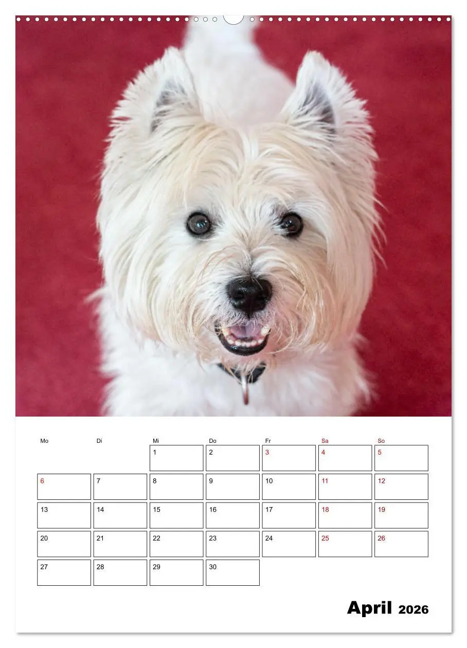 Bild: 9783516332698 | West Highland White Terrier - Herzensbrecher auf vier Pfoten...