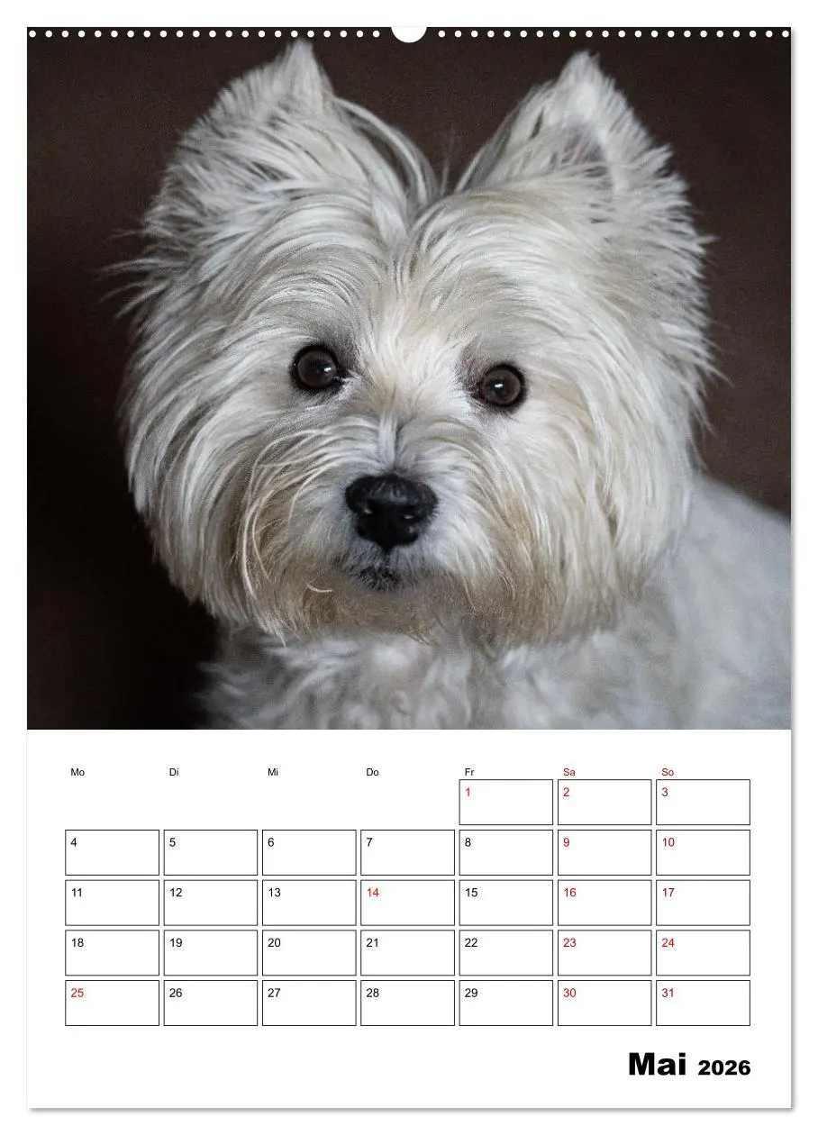 Bild: 9783516332698 | West Highland White Terrier - Herzensbrecher auf vier Pfoten...