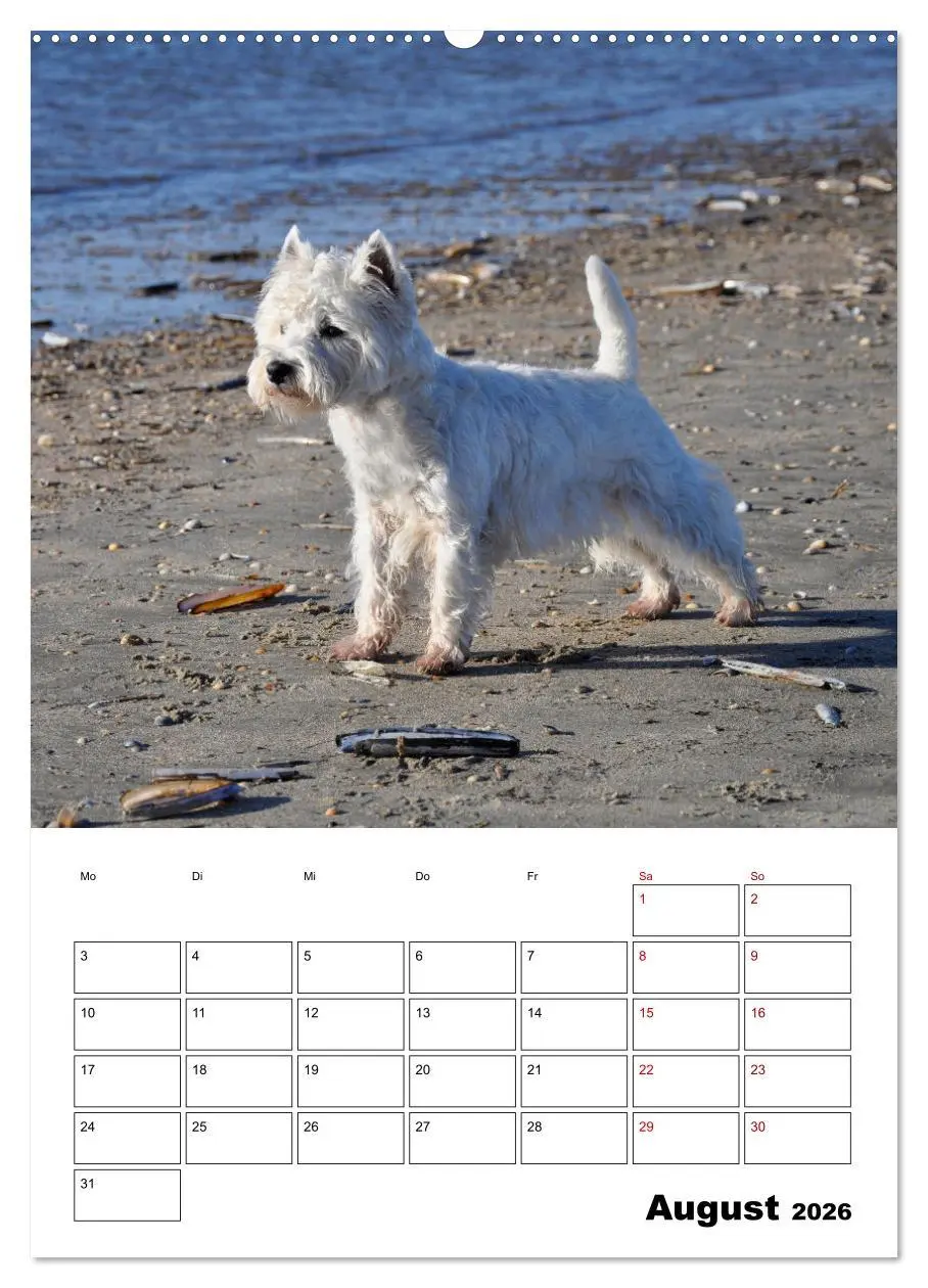 Bild: 9783516332698 | West Highland White Terrier - Herzensbrecher auf vier Pfoten...