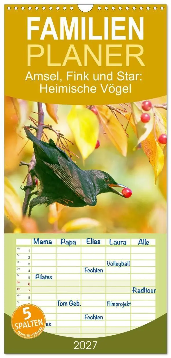 Cover: 9783594312698 | Familienplaner 2027 - Amsel, Fink und Star: Heimische Vögel mit 5...