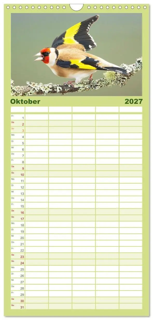 Bild: 9783594312698 | Familienplaner 2027 - Amsel, Fink und Star: Heimische Vögel mit 5...