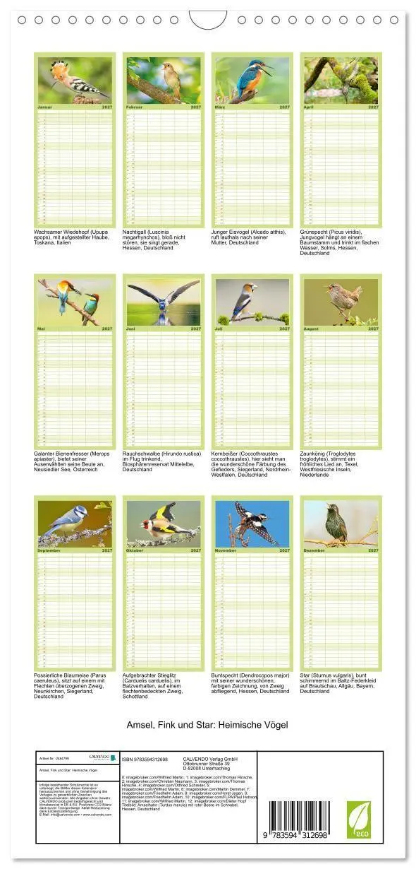 Bild: 9783594312698 | Familienplaner 2027 - Amsel, Fink und Star: Heimische Vögel mit 5...