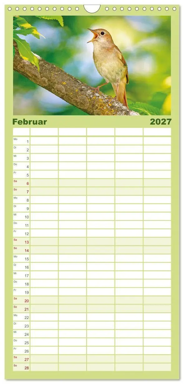 Bild: 9783594312698 | Familienplaner 2027 - Amsel, Fink und Star: Heimische Vögel mit 5...