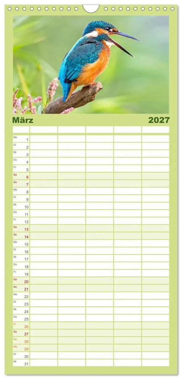 Bild: 9783594312698 | Familienplaner 2027 - Amsel, Fink und Star: Heimische Vögel mit 5...