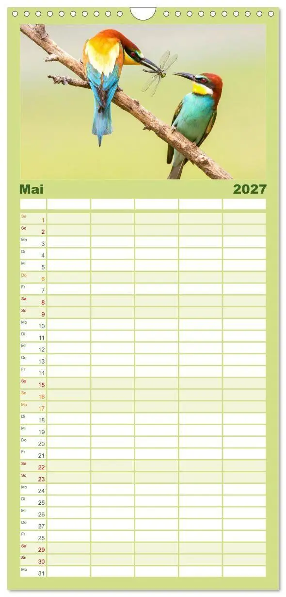 Bild: 9783594312698 | Familienplaner 2027 - Amsel, Fink und Star: Heimische Vögel mit 5...