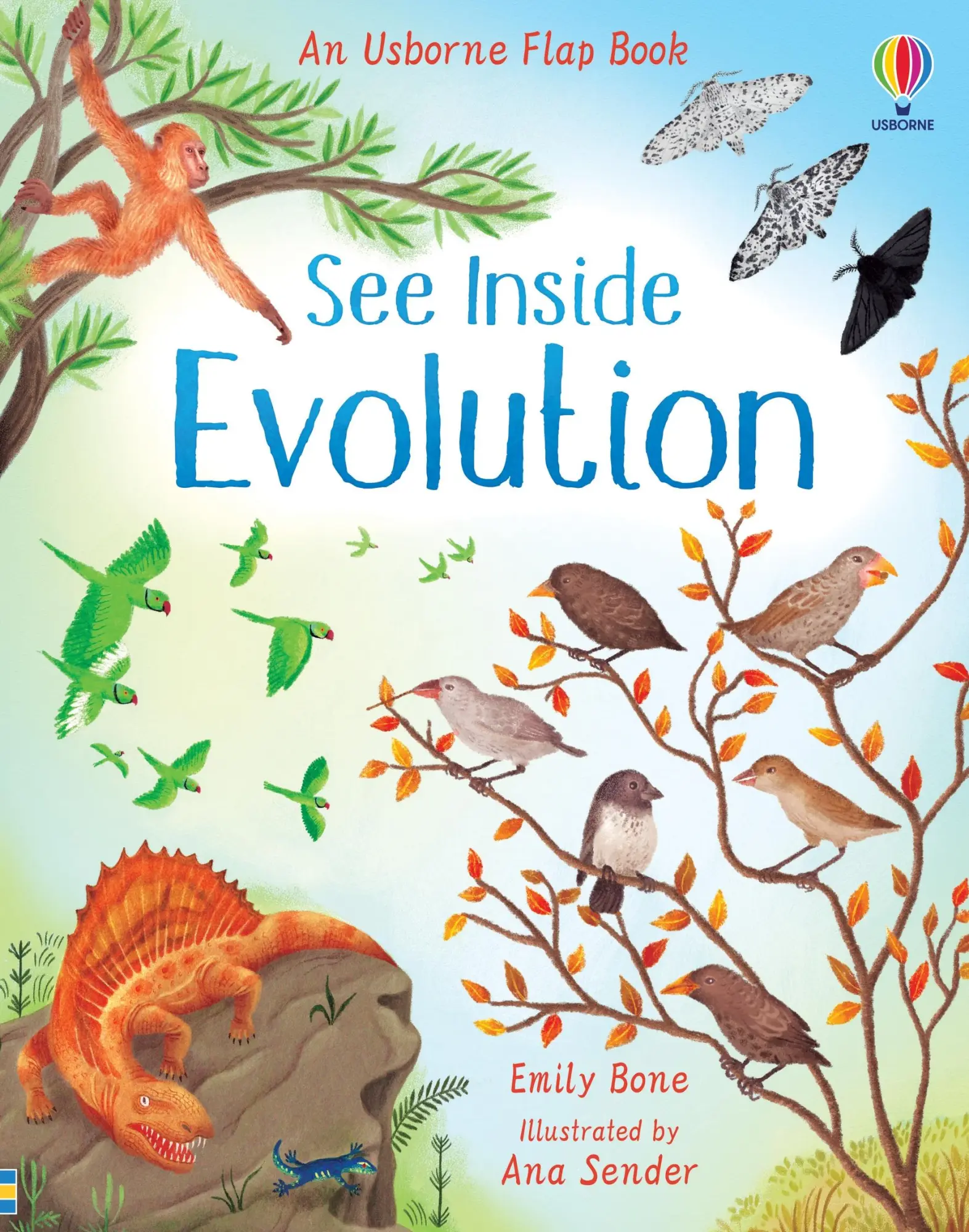 Cover: 9781474952798 | See Inside Evolution | Emily Bone | Buch | Papp-Bilderbuch | Englisch