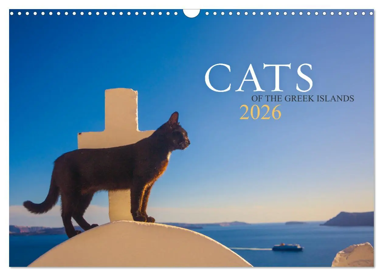 Cover: 9783516552898 | Cats of the Greek Islands (Wall Calendar 2026 DIN A3 landscape),...