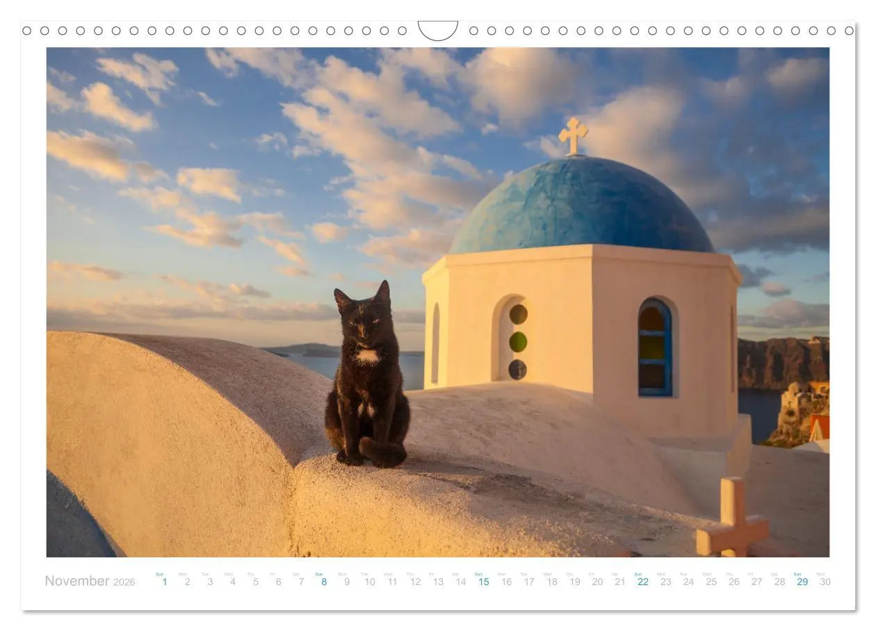 Bild: 9783516552898 | Cats of the Greek Islands (Wall Calendar 2026 DIN A3 landscape),...