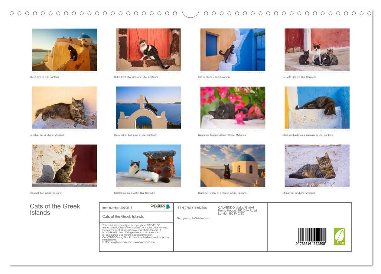 Bild: 9783516552898 | Cats of the Greek Islands (Wall Calendar 2026 DIN A3 landscape),...