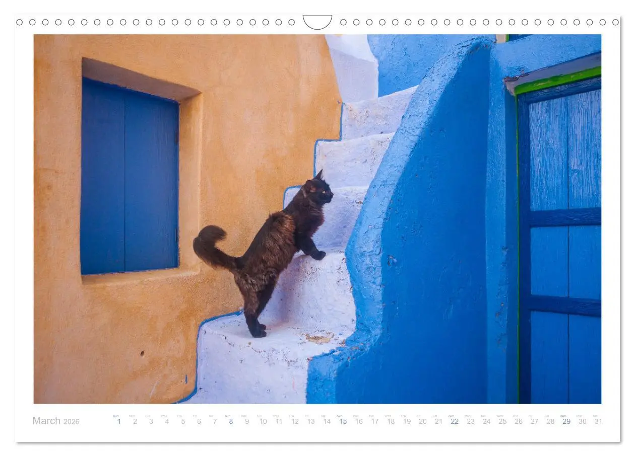 Bild: 9783516552898 | Cats of the Greek Islands (Wall Calendar 2026 DIN A3 landscape),...