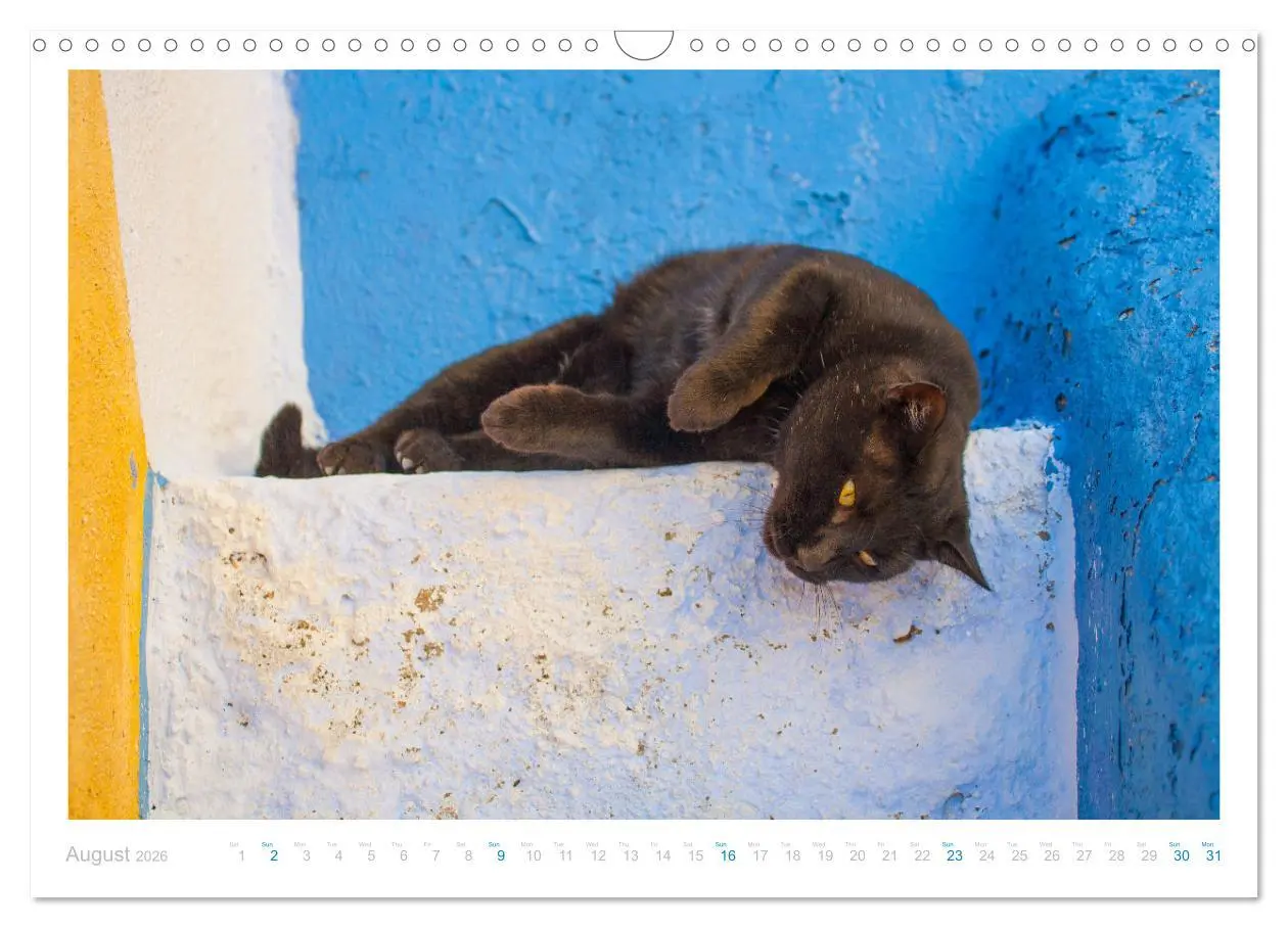 Bild: 9783516552898 | Cats of the Greek Islands (Wall Calendar 2026 DIN A3 landscape),...