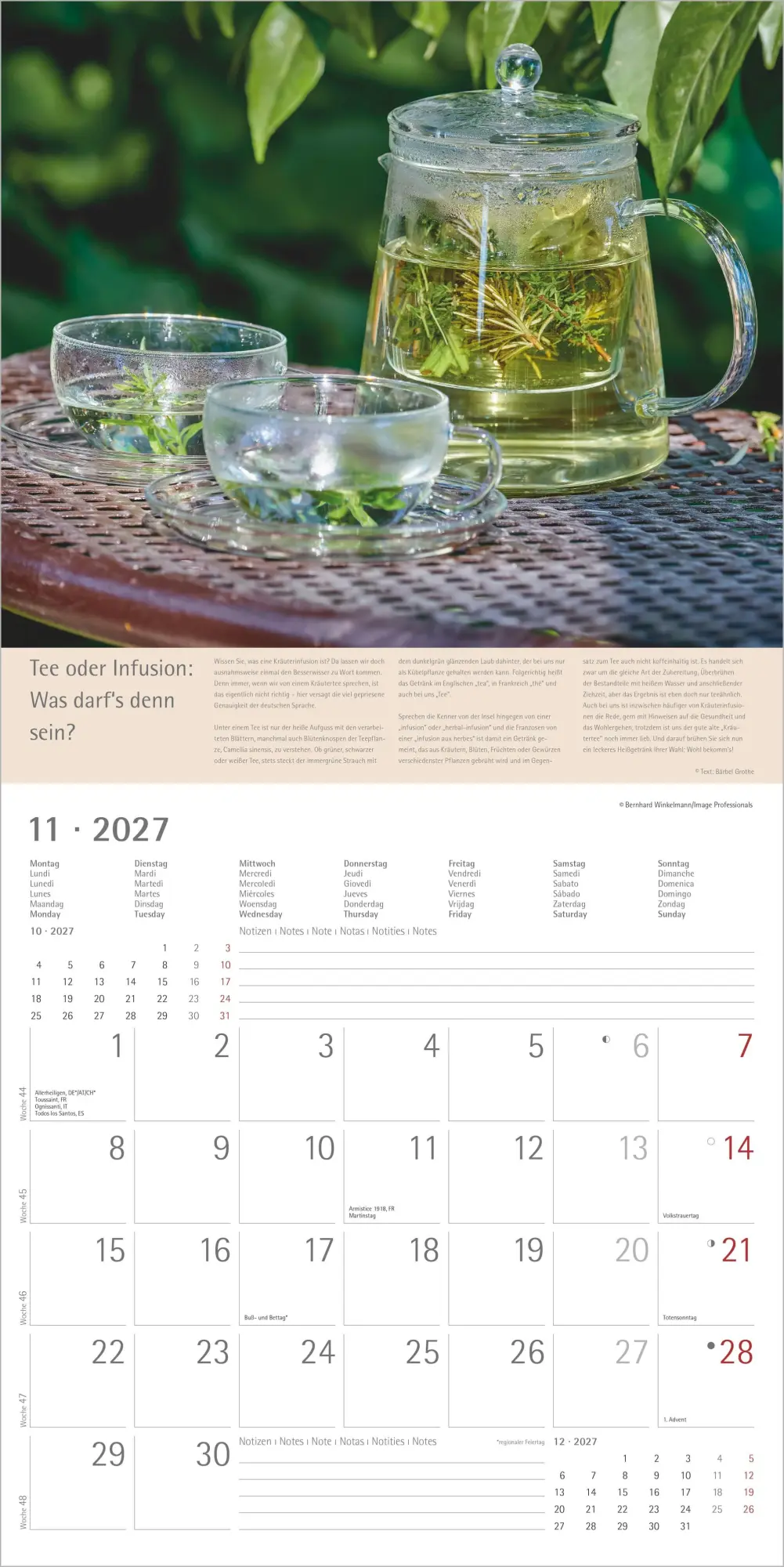 Bild: 4069095012998 | Kräuter und Gewürze 2027 | Neumann Verlage GmbH &amp; Co KG | Kalender