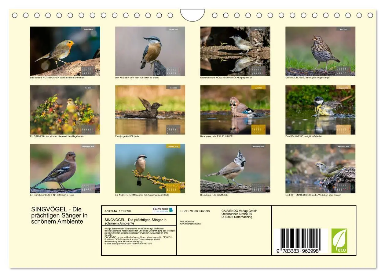 Bild: 9783383962998 | SINGVÖGEL - Die prächtigen Sänger in schönem Ambiente (Wandkalender...